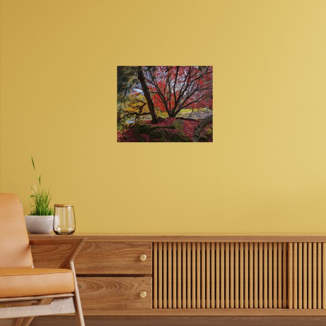 Poster Folhas e Árvores Coloridas de Outono Paisagem (Sala de Estar 2)