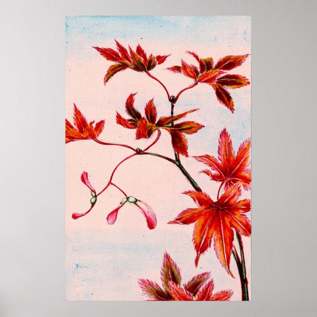 Pôster Folhas e Sementes de Árvore de Maple 1870 (Frente)