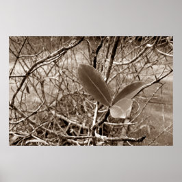 Poster folhas em vida2