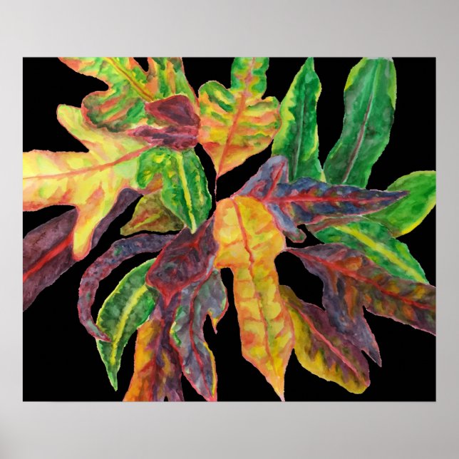 Pôster Folhas majestosas (Frente)