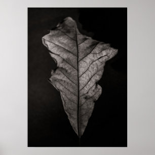 Poster Folhas Nº 5