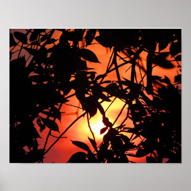 Pôster Folhas no Sol (Frente)