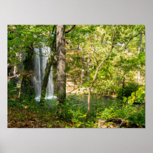 Poster Folhas ocultas