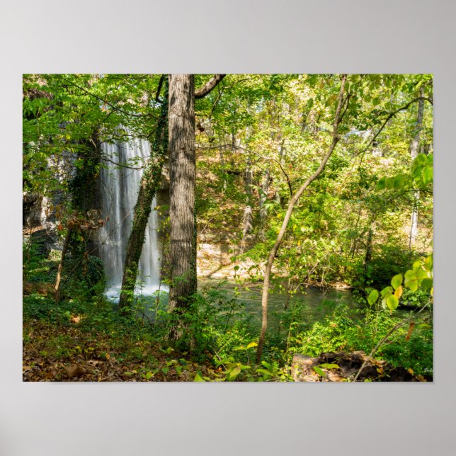 Poster Folhas ocultas (Frente)