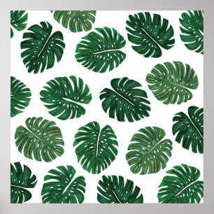 Pôster Folhas pintados mão tropicais da planta do queijo