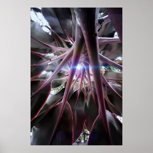 Poster folhas roxas (Frente)