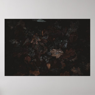 Poster Folhas secas
