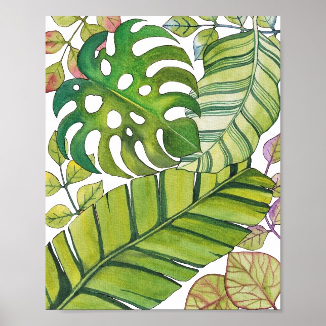 Poster Folhas Tropicais Cujas Cores De Água (Frente)