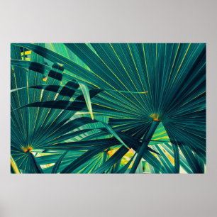 Poster Folhas tropicais de palmeira