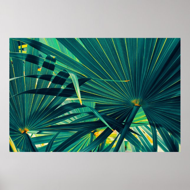 Poster Folhas tropicais de palmeira (Frente)