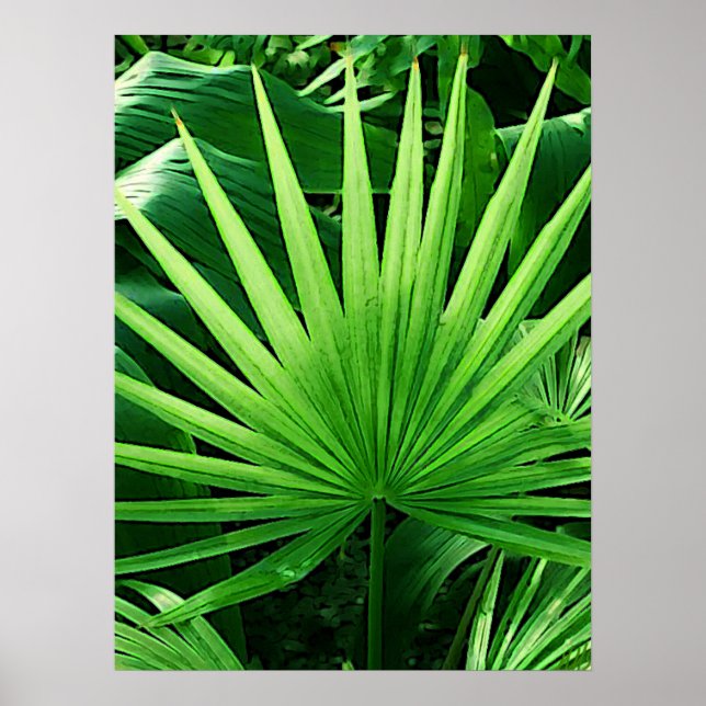 Poster Folhas Tropicais, Palma de Moinho, Verde Escuro (Frente)