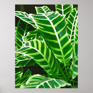 Poster Folhas Tropicais, Planta Zebra, Verde Escuro