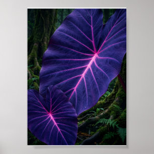 Poster Folhas Tropicais Roxas Brilhantes Botânico Escuro
