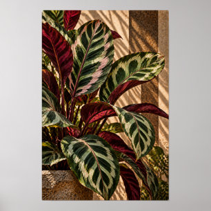 Poster Folhas Tropicais Variegadas em Parede de Luz Doura