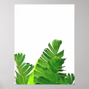 Poster Folhas tropicais verdes da banana da palma