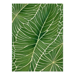 Pôster Folhas tropicais verdes em aquarela