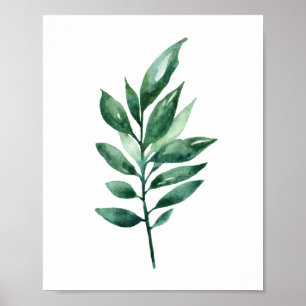 Poster Folhas verdes em aquarela. Arte botânica. Jardim
