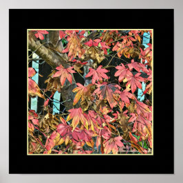 Pôster Folhas Vermelhas