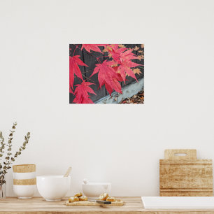 Poster Folhas Vermelhas do Bordô Japonês Botânico