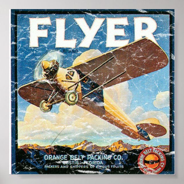 Pôster Folheto - angustiado (Frente)