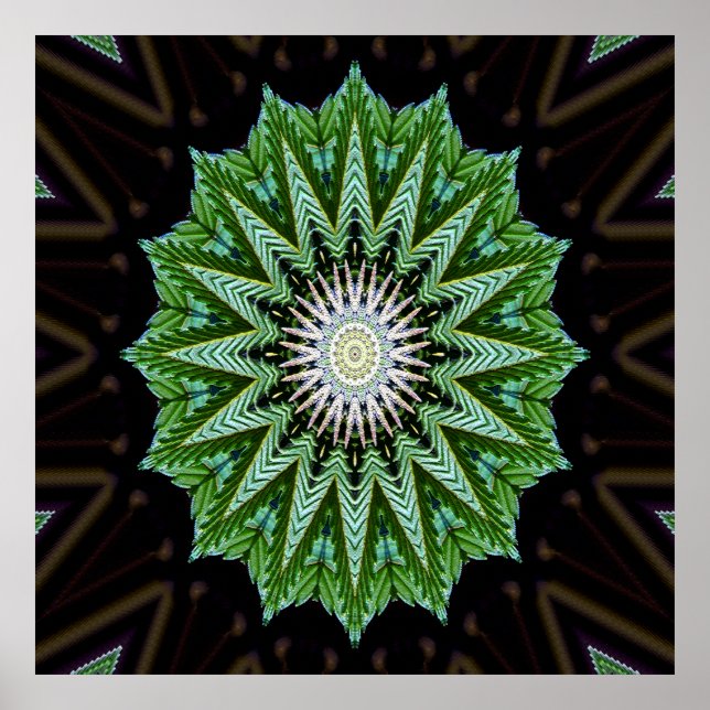 Poster Foliage Mandala..... (Frente)