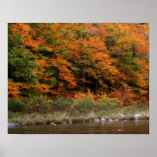 Poster Foliagem de Queda Bordo do Rio Orton Art
