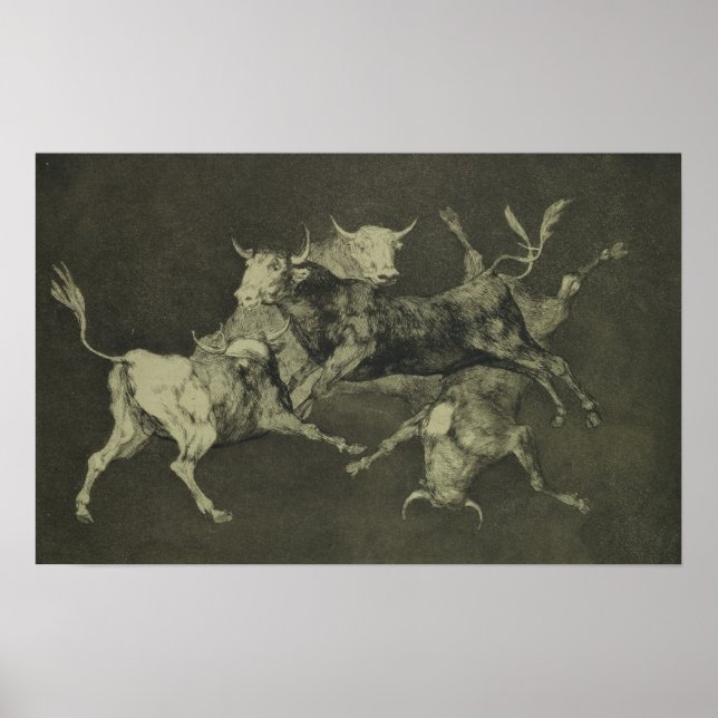 Poster Folly of the Bulls (Frente)