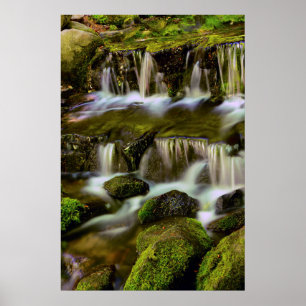 Pôster Fonte de samambaia, Parque Nacional de Yosemite, C