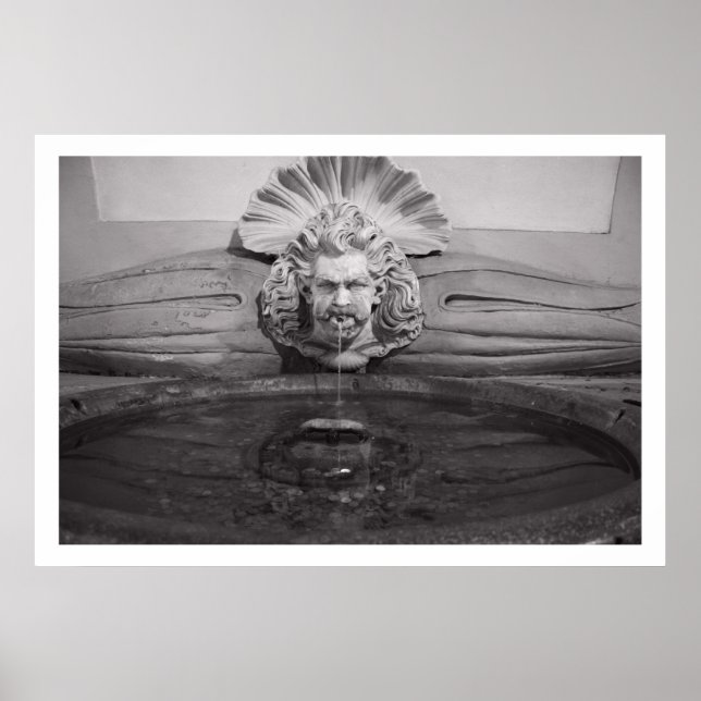 Pôster Fonte do Bebendo Florence (Frente)