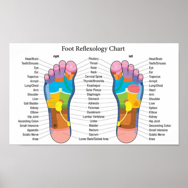 Poster Foot Reflexology 15x9" (Frente)