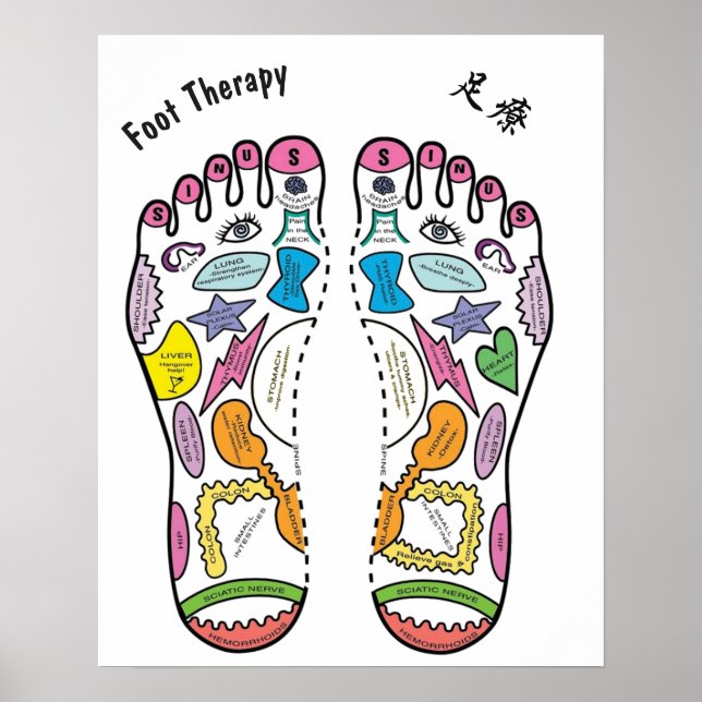 Poster Foot Reflexology 16x20" (Frente)