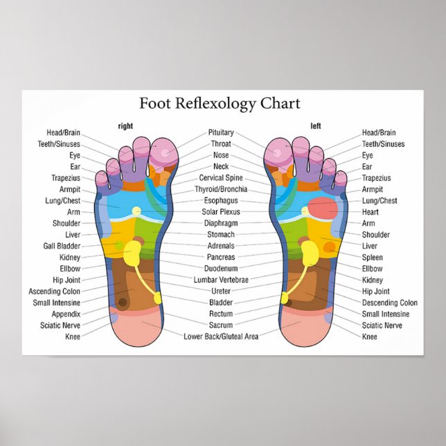 Poster Foot Reflexology 18x12" (Frente)