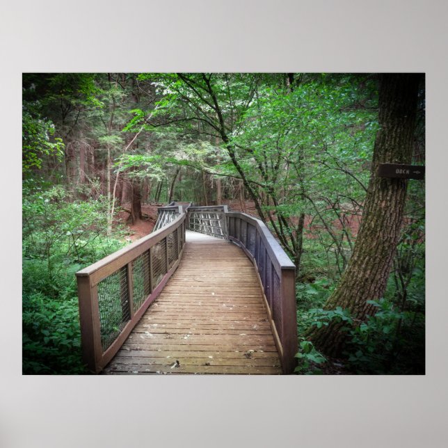 Poster Footbridge (Frente)