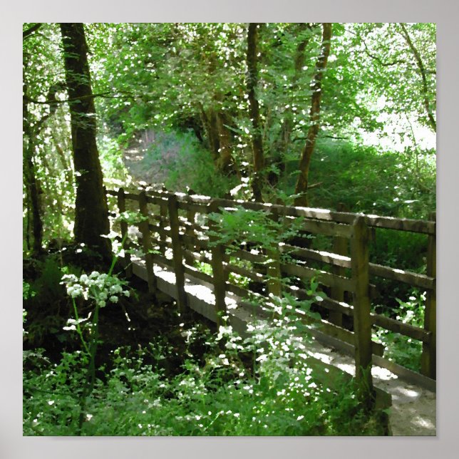 Pôster Footbridge in Woodland. (Frente)