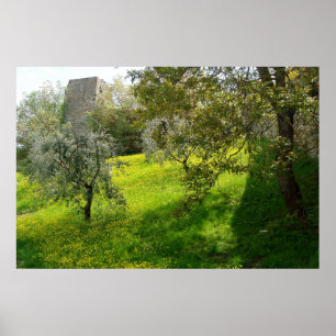 Poster Fora das paredes de San Gimignano