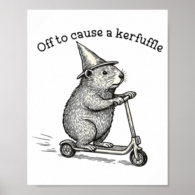 Poster Fora Para Causar Uma Confusão Ditos Estranhos Piad (Frente)