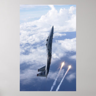 Poster Força Aérea F-15 Águia