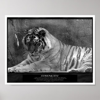 Pôster Força como cristão