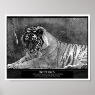 Pôster Força como um cristão