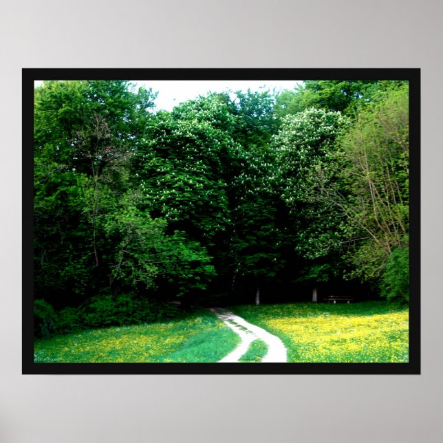 Poster Forest  (Frente)