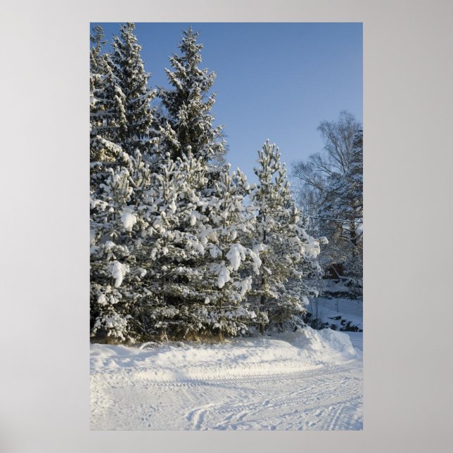 Pôster Forest (Frente)