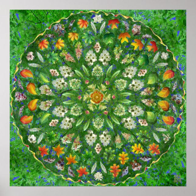 Poster Forest Dance (Frente)