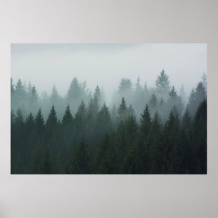 Poster Forest in the morning mist in the mountain. Spruce