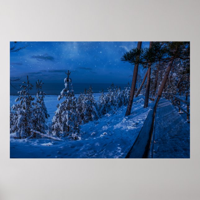 Poster Forest path at winter night (Frente)