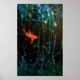 Poster "Forest" Sarah Doherty 2008