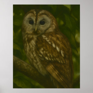 Poster Forest Sentinel - Arte sobre a vida selvagem de Ta