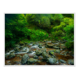 Pôster Forest Stream in Lush Woodland (Dargle River)