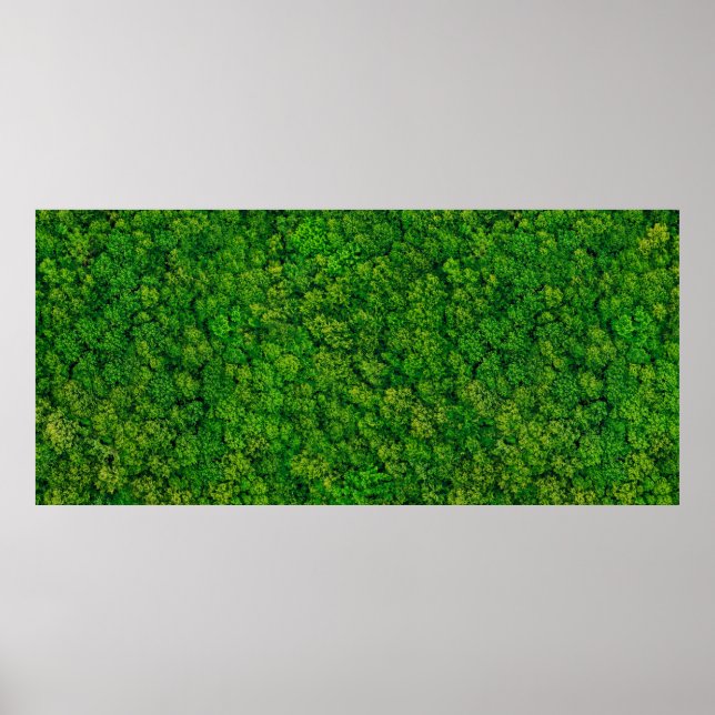Poster Forest view from above, aerial top view with copy  (Frente)