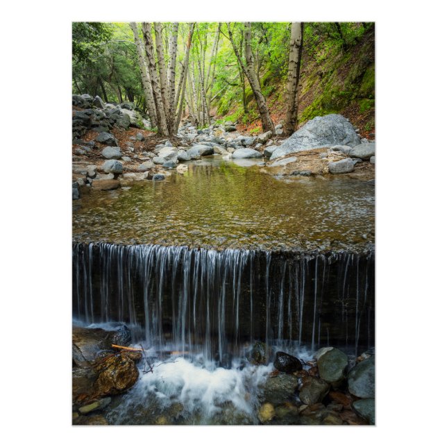 Pôster Forest Waterfall Cascade – Mountain Stream Print (Frente)