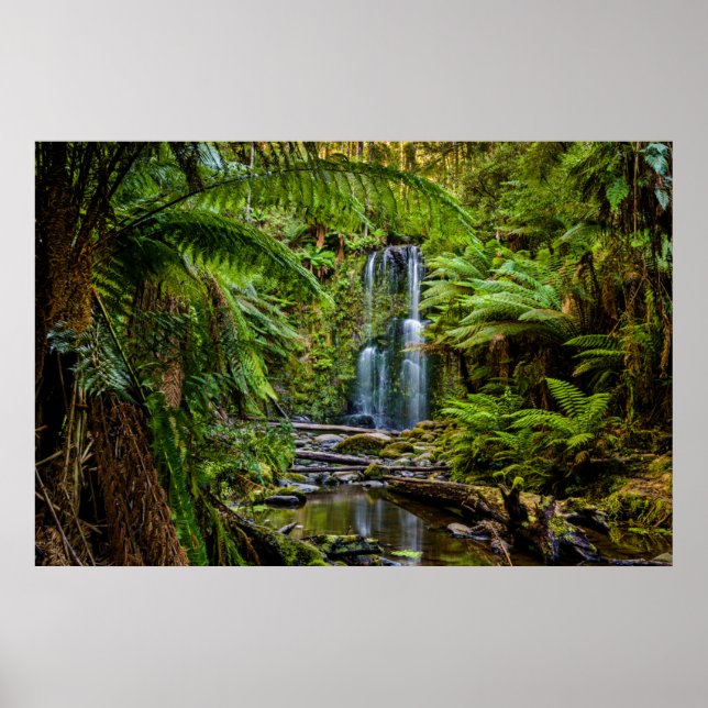 Poster Forests | Beauchamp Falls Australia (Frente)